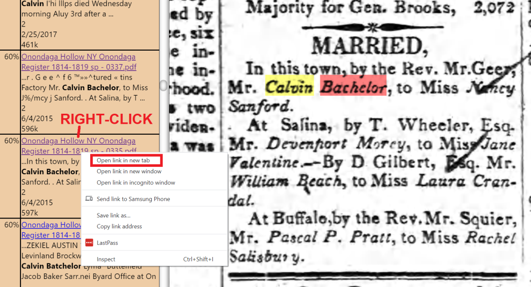 FultonHistoryInstructions_23 - Wedding example with viewing pane- preview